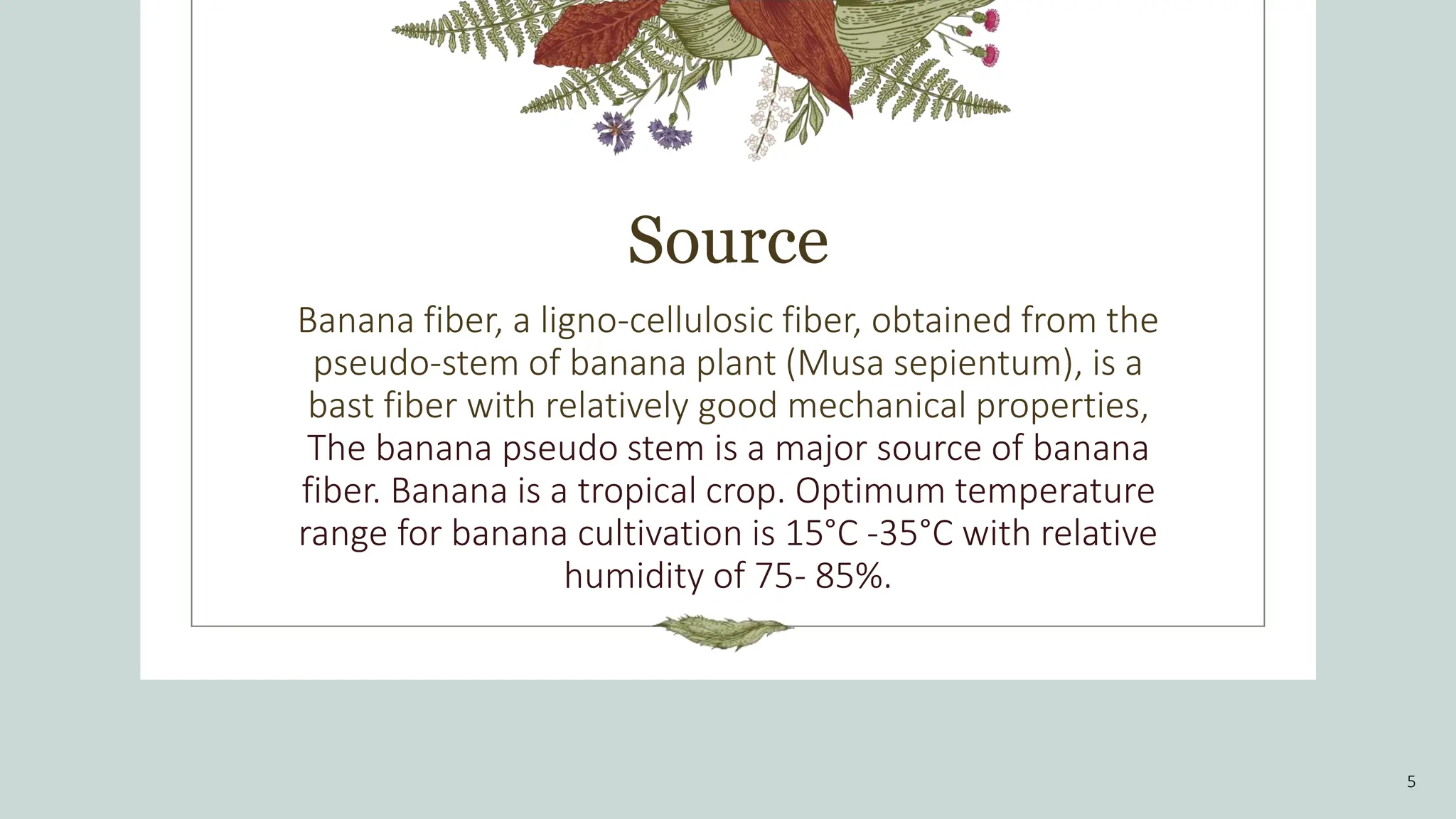 Source
Banana fiber, a ligno-cellulosic fiber, obtained from the
pseudo-stem of banana plant (Musa sepientum), is a
bast fiber with relatively good mechanical properties,
The banana pseudo stem is a major source of banana
fiber. Banana is a tropical crop. Optimum temperature
range for banana cultivation is 15°C -35°C with relative
humidity of 75- 85%.
5
 