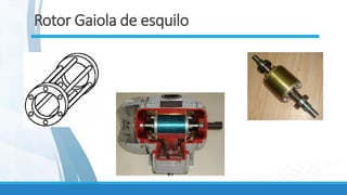 Rotor Gaiola de esquilo
 