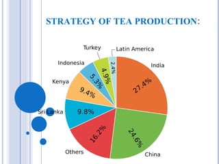 STRATEGY OF TEA PRODUCTION:
 