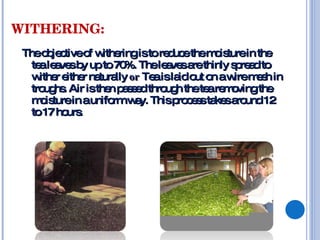 WITHERING:
 Theo je tiveo w ringistore uc them is
       b c     f ithe         d e      o turein the
   te le ve b upto70 Thele ve a thinly s re dto
     a a s y          %.      a s re       p a
   w r e r na lly or Te isla o o aw m s in
     ithe ithe tura        a    id ut n ire e h
   tro hs Air isthe p s e thro h thete re o
      ug .         n as d     ug      a m vingthe
   m is
     o turein aunifo w y. Thisp c s ta sa und12
                    rm a        ro e s ke ro
   to17 ho .
          urs
 