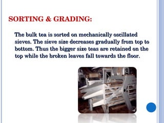 SORTING?&?GRADING:?

???The?bulk?tea?is?sorted?on?mechanically?oscillated?
   sieves.?The?sieve?size?decreases?gradually?from?top?to?
   bottom.?Thus?the?bigger?size?teas?are?retained?on?the?
   top?while?the?broken?leaves?fall?towards?the?floor.?
 