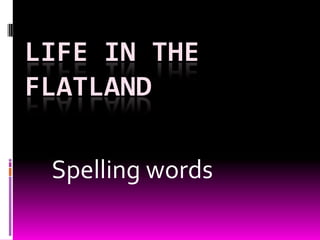 Life in the flatland Spelling words 