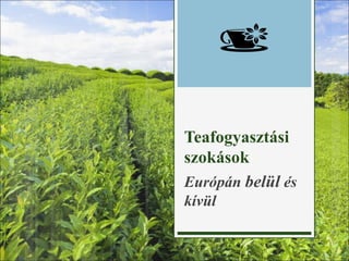 Teafogyasztási
szokások
Európán belül és
kívül
 