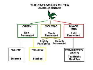 Tea Chapter 37 Tea | PPTX