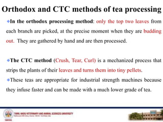 Orthodox and CTC methods of tea processing
In the orthodox processing method: only the top two leaves from
each branch are picked, at the precise moment when they are budding
out. They are gathered by hand and are then processed.
The CTC method (Crush, Tear, Curl) is a mechanized process that
strips the plants of their leaves and turns them into tiny pellets.
These teas are appropriate for industrial strength machines because
they infuse faster and can be made with a much lower grade of tea.
 