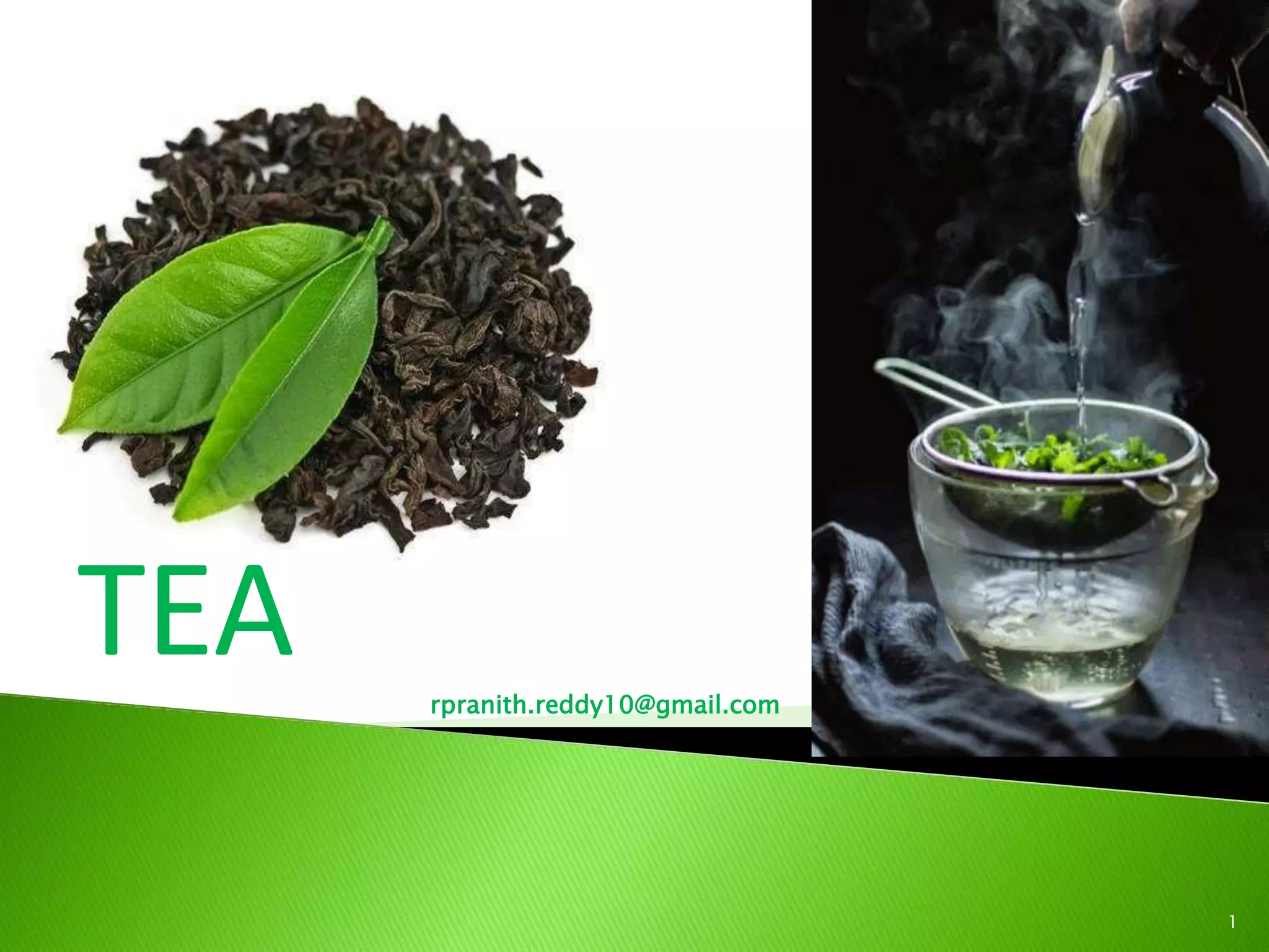 Tea Manufacturing Process | PPTX