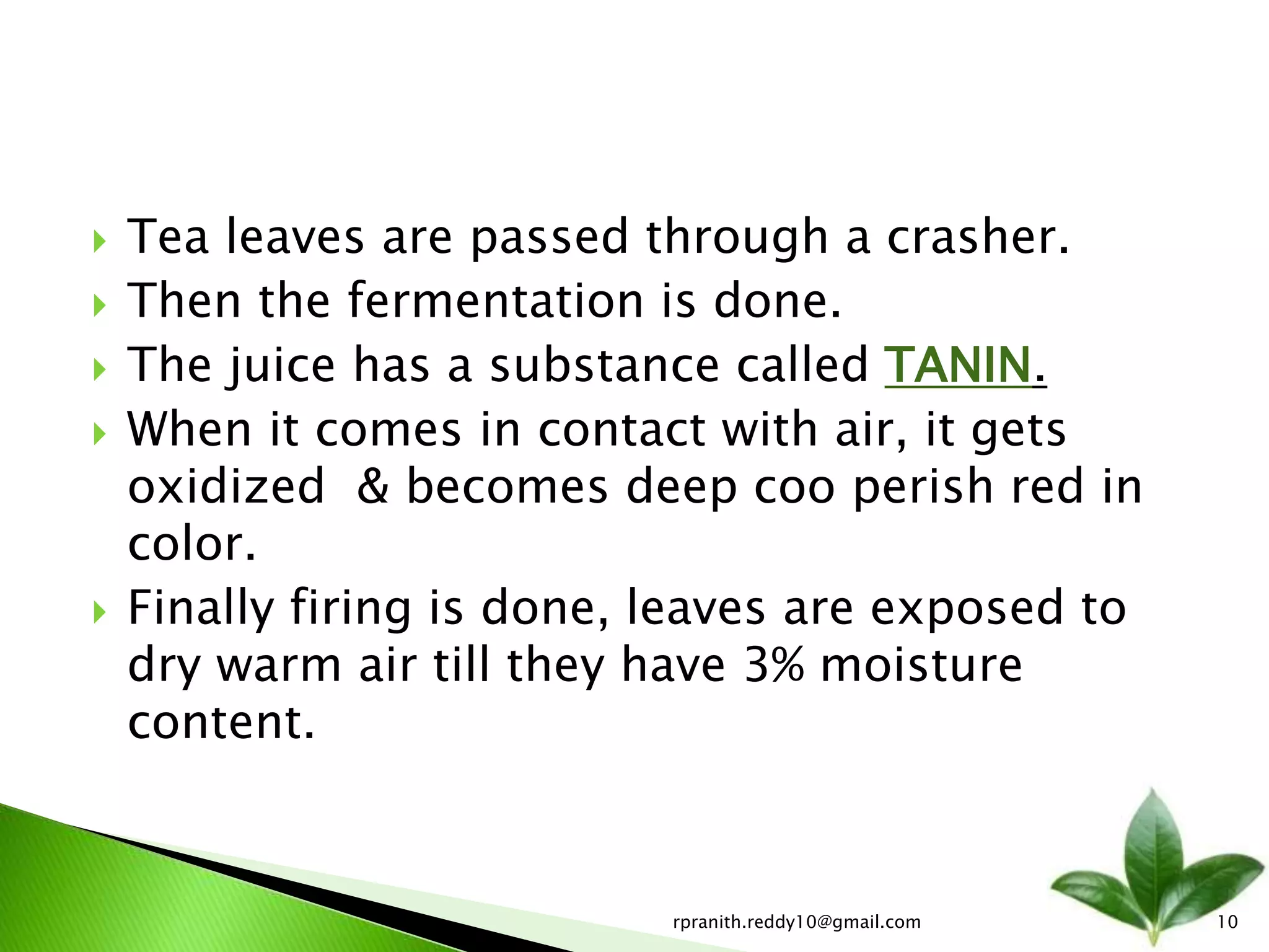 Tea Manufacturing Process | PPTX
