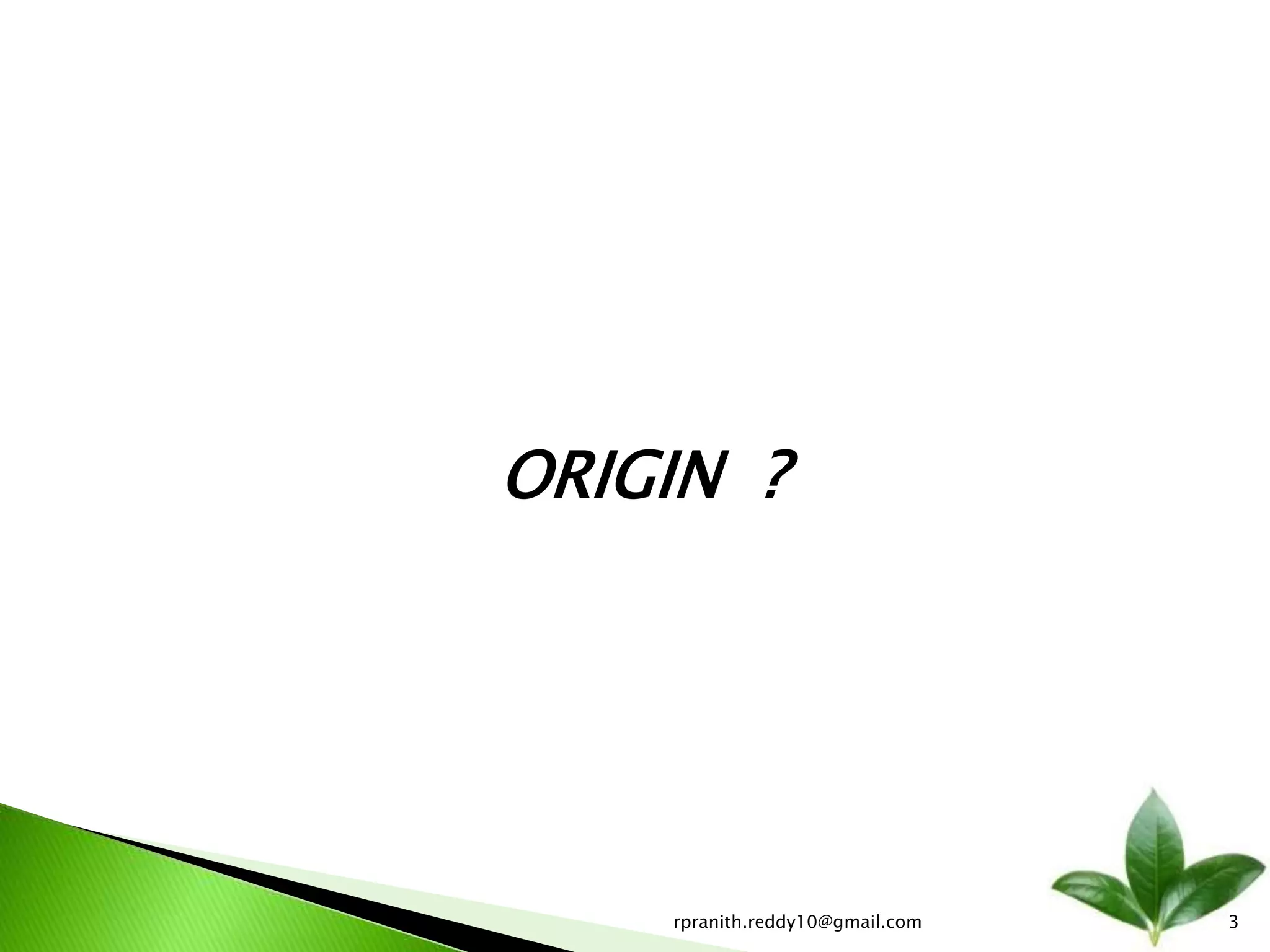 Tea Manufacturing Process | PPTX