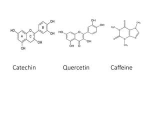Catechin Quercetin Caffeine
 