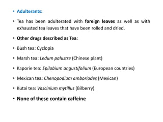 • Adulterants:
• Tea has been adulterated with foreign leaves as well as with
exhausted tea leaves that have been rolled and dried.
• Other drugs described as Tea:
• Bush tea: Cyclopia
• Marsh tea: Ledum palustre (Chinese plant)
• Kaporie tea: Epilobium angustifolium (European countries)
• Mexican tea: Chenopodium amboriodes (Mexican)
• Kutai tea: Vascinium mytillus (Bilberry)
• None of these contain caffeine
 