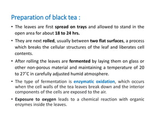 Preparation of black tea :
• The leaves are first spread on trays and allowed to stand in the
open area for about 18 to 24 hrs.
• They are next rolled, usually between two flat surfaces, a process
which breaks the cellular structures of the leaf and liberates cell
contents.
• After rolling the leaves are fermented by laying them on glass or
other non-porous material and maintaining a temperature of 20
to 27˚C in carefully adjusted humid atmosphere.
• The type of fermentation is enzymatic oxidation, which occurs
when the cell walls of the tea leaves break down and the interior
components of the cells are exposed to the air.
• Exposure to oxygen leads to a chemical reaction with organic
enzymes inside the leaves.
 