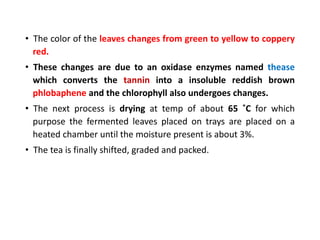 • The color of the leaves changes from green to yellow to coppery
red.
• These changes are due to an oxidase enzymes named thease
which converts the tannin into a insoluble reddish brown
phlobaphene and the chlorophyll also undergoes changes.
• The next process is drying at temp of about 65 ˚C for which
purpose the fermented leaves placed on trays are placed on a
heated chamber until the moisture present is about 3%.
• The tea is finally shifted, graded and packed.
 