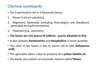 Chemical constituents :
• Tea is particularly rich in 3 flavonoid classes:
1. Flavan-3-ols (or catechins),
2. Oligomeric flavonoids (including thearubigins and theaflavins
generated during fermentation)
3. Flavonols (e.g., quercetin)
• The leaves are rich source of Caffeine - purine alkaloids (1-5%).
• It also contains theobromine and theophylline in minor quantity.
• The color of tea leaves is due to tannin (10 to 20% Gallotannic
acid).
• The agreeable odour is due to presence of a yellow Volatile oil.
• Tea leaves also contain an enzymatic mixture called Thease.
 
