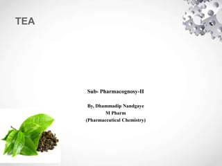 TEA
Sub- Pharmacognosy-II
By, Dhammadip Nandgaye
M Pharm
(Pharmaceutical Chemistry)
 