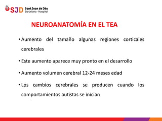 TRASTORNO DEL ESPECTRO DEL AUTISMO - Bloque 1.pdf