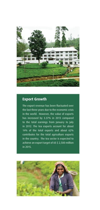The export revenue has been fluctuated over
the last three years due to the economic crisis
in the world. However, the value of exports
has increased by 3.37% in 2013 compared
to the total earnings from January to July
in 2012. The tea exports account for about
14% of the total exports and about 62%
contributes for the total agriculture exports
in the country. The tea sector is expected to
achieve an export target of US $ 2,500 million
in 2015.
Export Growth
 