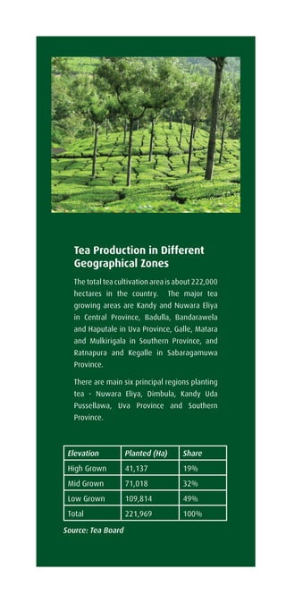 Tea Production in Different
Geographical Zones
The total tea cultivation area is about 222,000
hectares in the country. The major tea
growing areas are Kandy and Nuwara Eliya
in Central Province, Badulla, Bandarawela
and Haputale in Uva Province, Galle, Matara
and Mulkirigala in Southern Province, and
Ratnapura and Kegalle in Sabaragamuwa
Province.
There are main six principal regions planting
tea - Nuwara Eliya, Dimbula, Kandy Uda
Pussellawa, Uva Province and Southern
Province.
Elevation Planted (Ha) Share
High Grown 41,137 19%
Mid Grown 71,018 32%
Low Grown 109,814 49%
Total 221,969 100%
Source: Tea Board
 