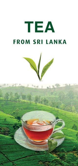 TEA
FROM SRI LANKA
 