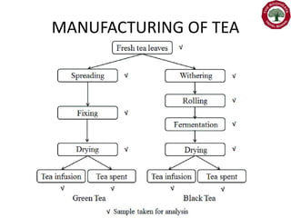 Tea and coffee | PPTX