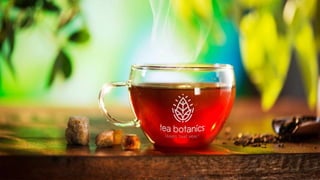 Tea botanics   revised