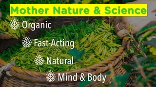 Tea botanics   revised