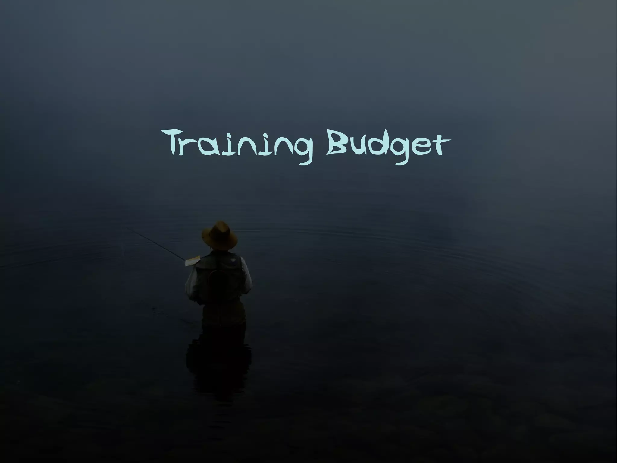 Training Budget
 