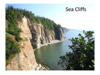 Sea Cliffs
 