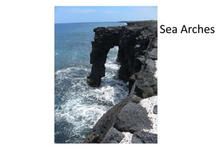 Sea Arches
 