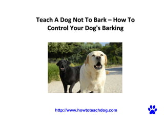 Teach A Dog Not To Bark – How To Control Your Dog's Barking   http://www.howtoteachdog.com 