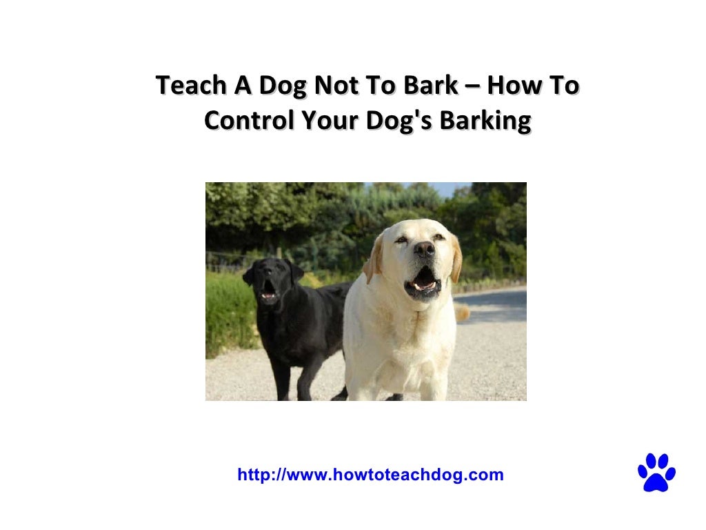 Teach A Dog Not To Bark How To Control Your Dog's Barking