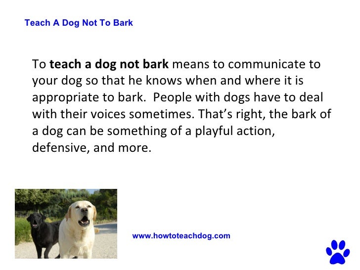 how to your to not bark teach a not to bark how to your s barking how to your to not bark teach a not to bark how to your s barking