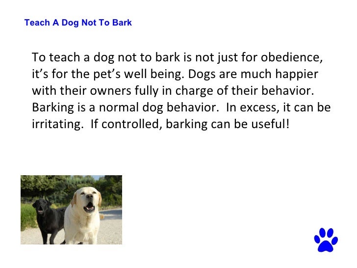 teach puppy not to bark teach a not to bark how to your s barking teach puppy not to bark teach a not to bark how to your s barking