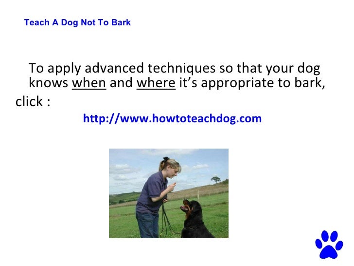 how to your not to bark so much teach a not to bark how to your s barking how to your not to bark so much teach a not to bark how to your s barking