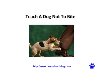 Teach A Dog Not To Bite    http://www.howtoteachdog.com 