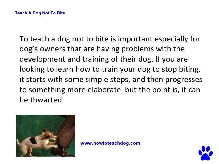 teaching a puppy not to bite teach a not to bite teaching a puppy not to bite teach a not to bite