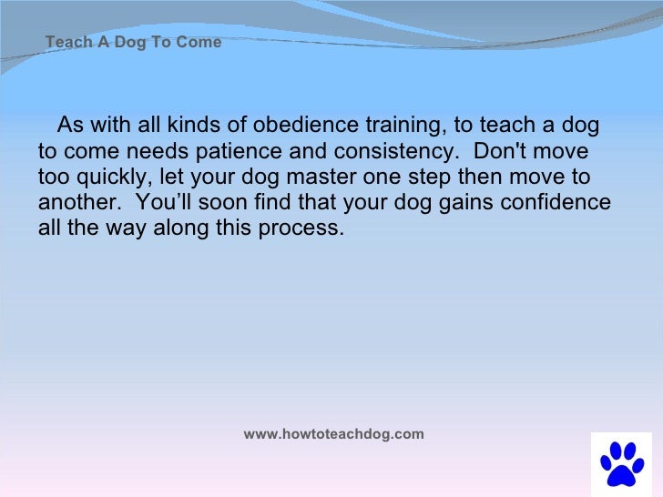 teaching a puppy to come teach a to come when called teaching a puppy to come teach a to come when called