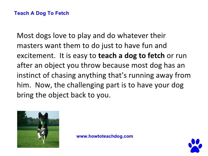 teach to fetch teach a to fetch simple ways to your to fetch teach to fetch teach a to fetch simple ways to your to fetch