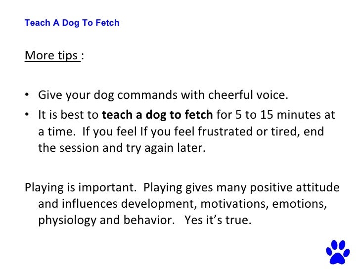 How do you train your dog to fetch?