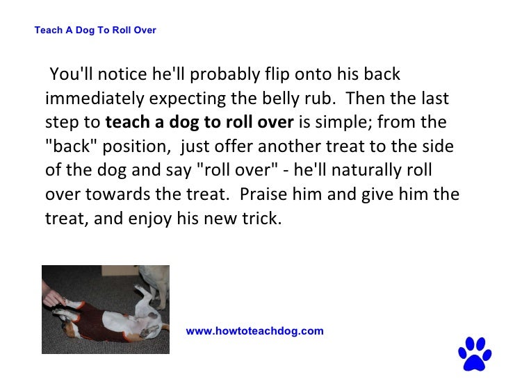 How can you train a dog to roll over?