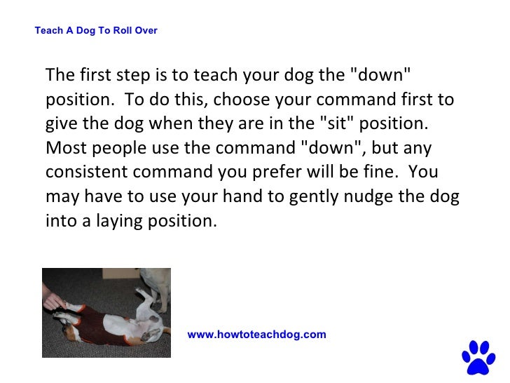 Teach A Dog To Roll Over Simple Steps To Train Your Dog To Roll Over