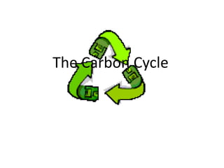 The Carbon Cycle
 