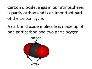 Carbon dioxide, a gas in our atmosphere,
is partly carbon and is an important part
of the carbon cycle.
A carbon dioxide molecule is made up of
one part carbon and two parts oxygen.
            carbon




            oxygen
 