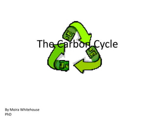The Carbon Cycle




By Moira Whitehouse
PhD
 