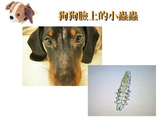 ϵС湷ϵС
 