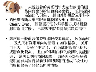 ? ęz \۲˲ĤÓ ( Q长
Cherry Eye)  hgʽ˲Ĥ
¹̶  ѿͳԺKm׷ۙ

? ԓһżl۲϶  ƷN
 AƷN ( ׸  ϵ
ɿȮ  ӢϵYţȮ )  ɵӰ푰
dѪl  ۾ȂȵĜIĹ
ʧ  ҊIĬF . 
XǰЮǰ֫۾MɶԵ
ĤpĤ
? һԺ\ӢϵYţȮ҃۵
{ȽǳFۼtɫͻ  KSI
ҺĬF  ^ҕ\ۿƌW
 