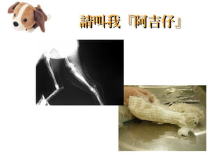 ҡСҡС
 
