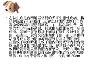 ? Ľz̨֢؅^ҊȮxԼ؈
ҲȾ (  ĽzoԳȻ؈
^ȻK ) Ľzɳ
Ҽ΄}ҳɳǴۮw̥
г棬ͬһbͬrԼԵĳ
һ͕βֳг棬Ľz
׳ȮwSѪҺѭhl 2 ڵ׳棬
ڮѪrMwȵRϹ܃Ȱl͑
Ƥγ 3 ڵĸȾ׳棬ڮٶҧȮ
 r͕MwȶȾ˕r؈ 3 ڵ
潛 6-8 uulɳҼ
} . ɳ鲻ֹ֮Ls 15-20cm
 