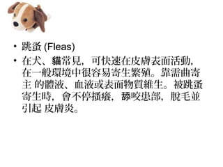 ?  (Fleas)
? Ȯ ҊɿƤwӣ؈
һhк׼ֳ
 wҺѪҺ|S
rͣɦW ҧÓëK
 Ƥwס
 