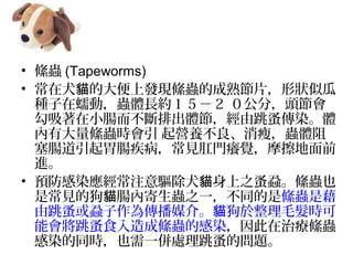 ? dx (Tapeworms) 
? Ȯ ĴϰlFdxĳ칝ƬΠƹ؈
NӣxwLs ֣^
СcųwȾw
дdxr IBݣxw
cθcҊTWXĦǰ
M 
? AȾעȮ ֮tdxҲ؈
ǳҊĹ cȼx֮һͬ؈ dxǽ
tý顣 ër؈
ܕʳɽdxĸȾίdx
ȾͬrҲһ̎Ć}
 