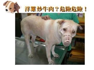  ţ⣿ΣUΣU[ ţ⣿ΣUΣU[
 